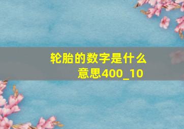 轮胎的数字是什么意思400_10