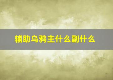 辅助乌鸦主什么副什么