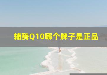 辅酶Q10哪个牌子是正品