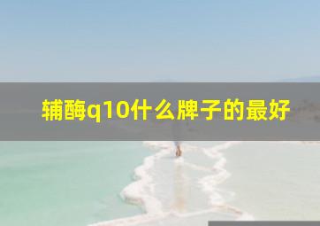 辅酶q10什么牌子的最好