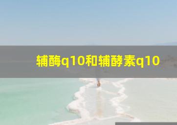 辅酶q10和辅酵素q10