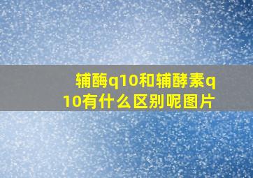 辅酶q10和辅酵素q10有什么区别呢图片