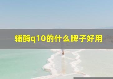 辅酶q10的什么牌子好用