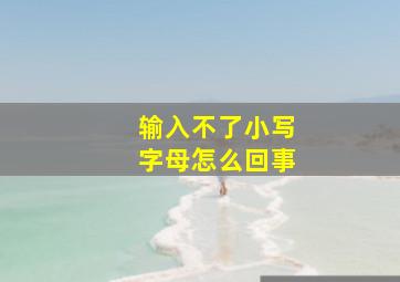 输入不了小写字母怎么回事