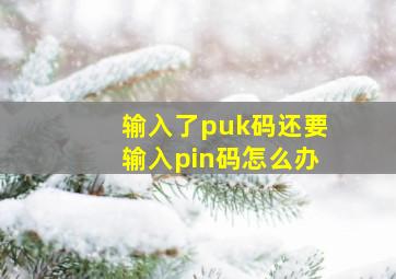 输入了puk码还要输入pin码怎么办