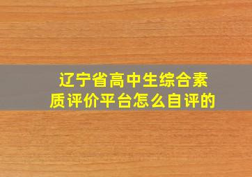 辽宁省高中生综合素质评价平台怎么自评的