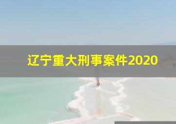 辽宁重大刑事案件2020