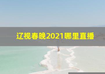 辽视春晚2021哪里直播