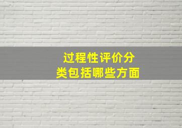 过程性评价分类包括哪些方面