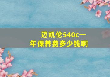 迈凯伦540c一年保养费多少钱啊