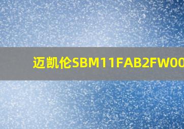 迈凯伦SBM11FAB2FW004214