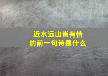 近水远山皆有情的前一句诗是什么