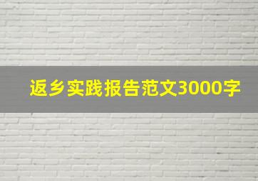 返乡实践报告范文3000字