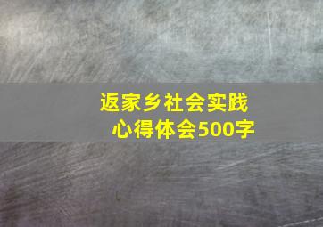 返家乡社会实践心得体会500字