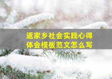 返家乡社会实践心得体会模板范文怎么写