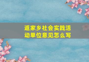 返家乡社会实践活动单位意见怎么写