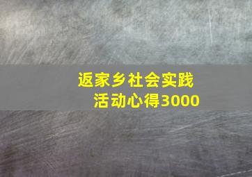 返家乡社会实践活动心得3000