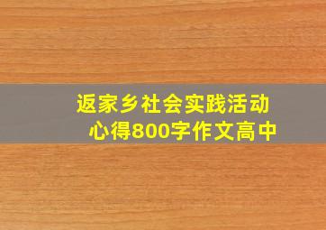 返家乡社会实践活动心得800字作文高中