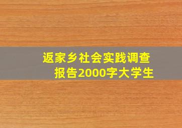 返家乡社会实践调查报告2000字大学生