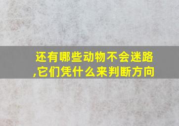 还有哪些动物不会迷路,它们凭什么来判断方向