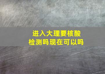 进入大理要核酸检测吗现在可以吗