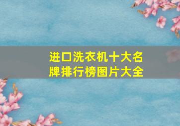 进口洗衣机十大名牌排行榜图片大全