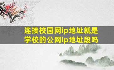 连接校园网ip地址就是学校的公网ip地址段吗