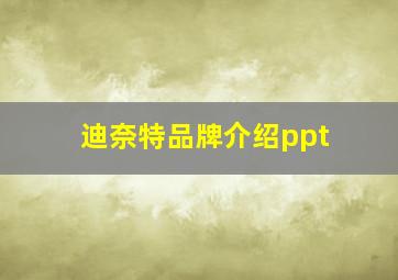 迪奈特品牌介绍ppt