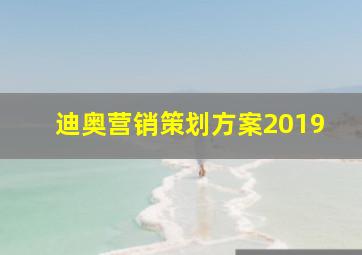 迪奥营销策划方案2019