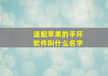 适配苹果的手环软件叫什么名字