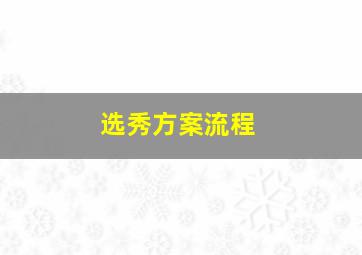 选秀方案流程