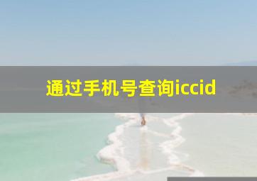 通过手机号查询iccid