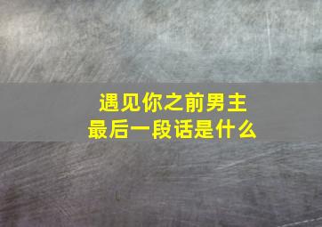 遇见你之前男主最后一段话是什么