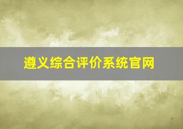 遵义综合评价系统官网