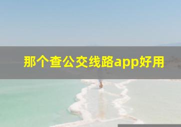 那个查公交线路app好用