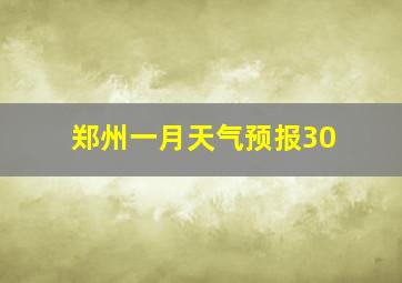 郑州一月天气预报30