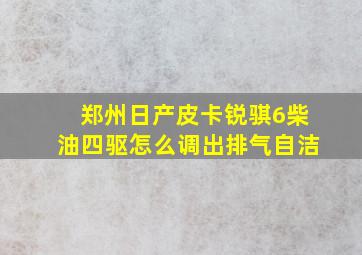 郑州日产皮卡锐骐6柴油四驱怎么调出排气自洁