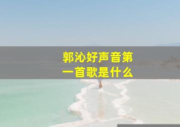 郭沁好声音第一首歌是什么