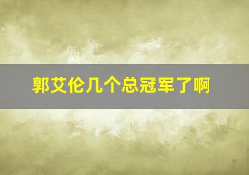 郭艾伦几个总冠军了啊