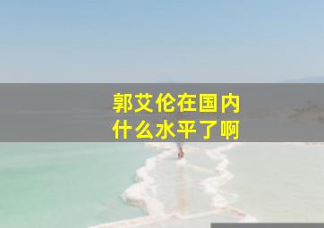 郭艾伦在国内什么水平了啊