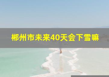 郴州市未来40天会下雪嘛