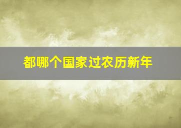 都哪个国家过农历新年