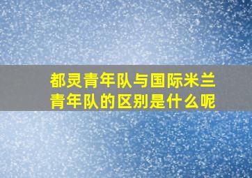 都灵青年队与国际米兰青年队的区别是什么呢