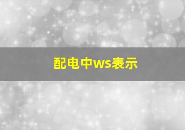 配电中ws表示