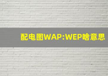 配电图WAP:WEP啥意思