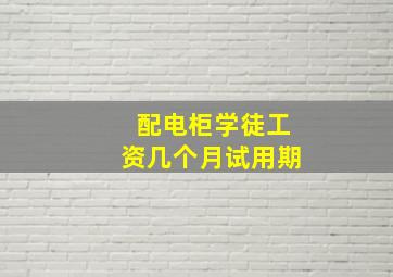 配电柜学徒工资几个月试用期