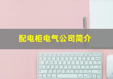 配电柜电气公司简介