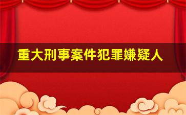 重大刑事案件犯罪嫌疑人