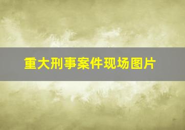 重大刑事案件现场图片