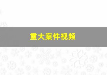 重大案件视频